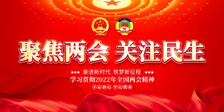 2022政府工作报告 (两会展板挂图）