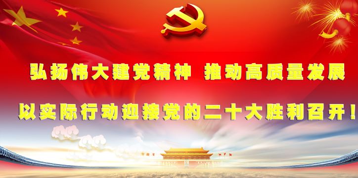 弘扬伟大建党精神 推动高质量发展 以实际行动迎接党的二十大胜利召开——二十大系列展板挂图