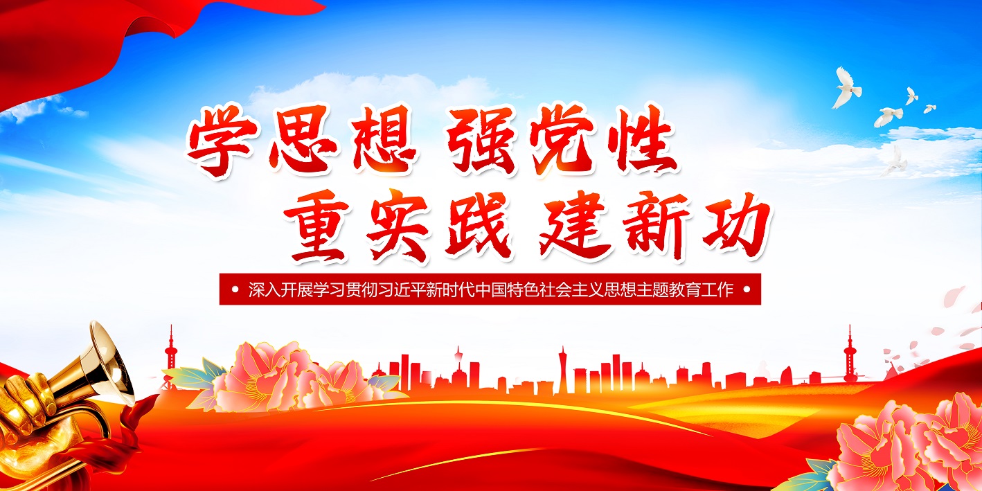 2023年学思想强党性重实践建新功新时代中国特色社会主义思想党内主题教育室外宣传栏设计展板