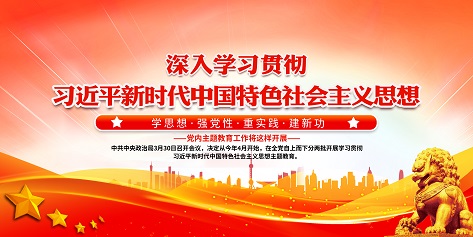 新时代中国特色社会主义思想主题教育宣传栏展板